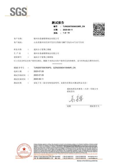 SGS Mechanical Property Test — first page preview