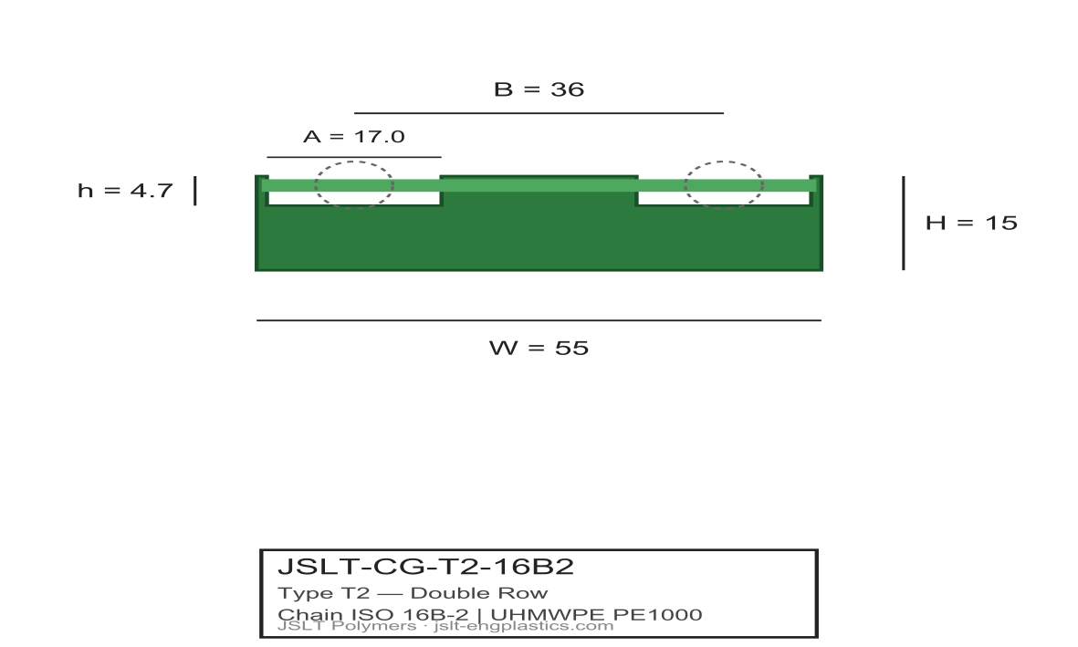 Cross-section of JSLT-CG-T2-16B2